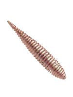 Приманка ZUB-MAGGOT SLIM 22мм(0,9")-20шт, (цвет 504) красный с блестками