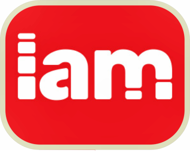 ПОСТУПЛЕНИИ ПРОДУКЦИИ КОМПАНИИ   IAM