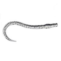 Приманка ZUB-WORM  75мм(3")-7шт, (цвет 501) серый с блестками