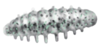 Приманка ZUB NOA LARVA  40мм(1,6") -6шт, (цвет 501) серый с блестками