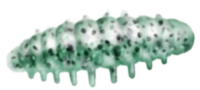 Приманка ZUB NOA LARVA  40мм(1,6") -6шт, (цвет 505) зеленый с блестками