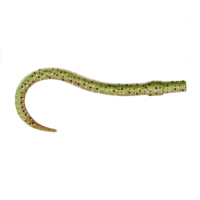 Приманка ZUB-WORM 100мм(4")-5шт, (цвет 503) коричневый с блестками