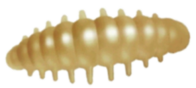 Приманка ZUB NOA LARVA  40мм(1,6") -6шт, (цвет 303) телесный