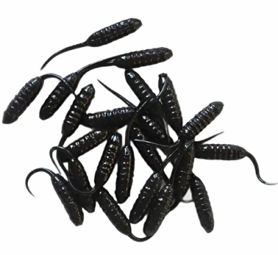 Опарыш хвостатый  ZUB MAGGOT черный
