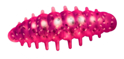 Приманка ZUB Noa Larva  30мм(1,2") -10шт, (цвет 130) маджента с блестками