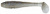 Приманка силиконовая Keitech Swing Impact FAT 7.8" #440 Electric Shad Приманка силиконовая Keitech Swing Impact FAT 7.8" #440 Electric Shad