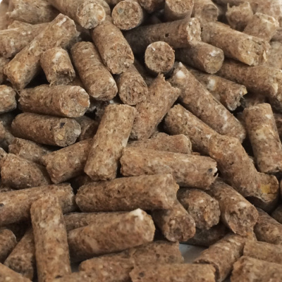 Прикормка "DUNAEV iCE-КЛАССИКА" 0.75кг  гранулы Анис