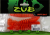 Приманка ZUB-SHAD 100мм(4")-4шт, (цвет 250) морковный с блестками Приманка ZUB-SHAD 100мм(4")-4шт, (цвет 250) морковный с блестками